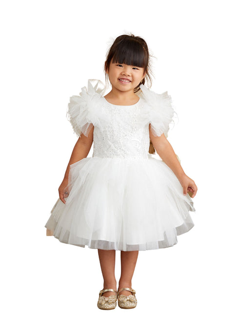 Tip Top Kids Girls Mesh Sleeve Dress with Beaded Lace Overlay Bodice and Layered Skirt, Sizes 6 Months-12 - SophiasStyle.com