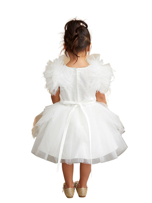 Tip Top Kids Girls Mesh Sleeve Dress with Beaded Lace Overlay Bodice and Layered Skirt, Sizes 6 Months-12 - SophiasStyle.com