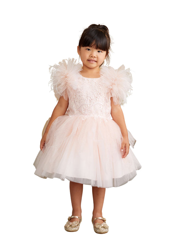 Tip Top Kids Girls Mesh Sleeve Dress with Beaded Lace Overlay Bodice and Layered Skirt, Sizes 6 Months-12 - SophiasStyle.com