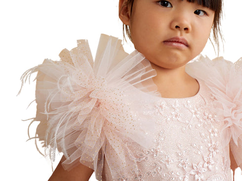 Tip Top Kids Girls Mesh Sleeve Dress with Beaded Lace Overlay Bodice and Layered Skirt, Sizes 6 Months-12 - SophiasStyle.com