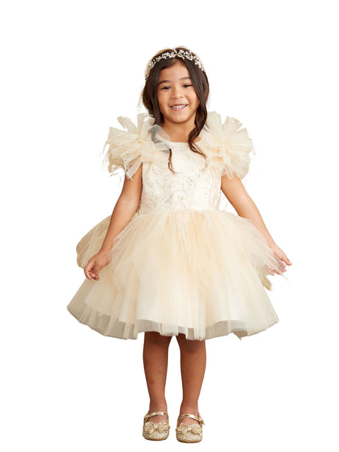 Tip Top Kids Girls Mesh Sleeve Dress with Beaded Lace Overlay Bodice and Layered Skirt, Sizes 6 Months-12 - SophiasStyle.com