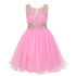 Little Girls Pink Tulle AB Stone Wired Flower Girl Dress 4-6 - SophiasStyle.com