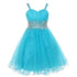 Little Girls Jade Stone Encrusted Pleated Tulle Party Dress 2-6 - SophiasStyle.com