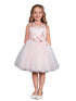 Girls Multi Color Lace Rhinestone Sash Pageant Dress 2-18 - SophiasStyle.com