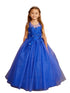Tip Top Kids Girls 3D Floral Applique Special Occasion Dress, Sizes 2-16 - SophiasStyle.com