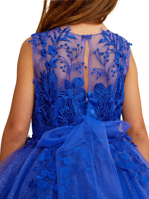 Tip Top Kids Girls 3D Floral Applique Special Occasion Dress, Sizes 2-16 - SophiasStyle.com