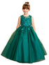Tip Top Kids Girls 3D Floral Applique Special Occasion Dress, Sizes 2-16 - SophiasStyle.com