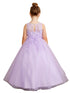 Tip Top Kids Girls 3D Floral Applique Special Occasion Dress, Sizes 2-16 - SophiasStyle.com