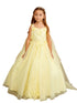 3D Floral Bodice Glitter Tulle Detachable Cape Special Occasion Dress, Sizes 2-18 - SophiasStyle.com