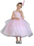 Big Girls Blush Illusion Neckline Lace Organza Junior Bridesmaid Dress 8-16 - SophiasStyle.com