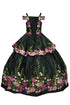 Cinderella Couture Little Girls Black Floral Embroidery Ball Gown 2-6 - SophiasStyle.com