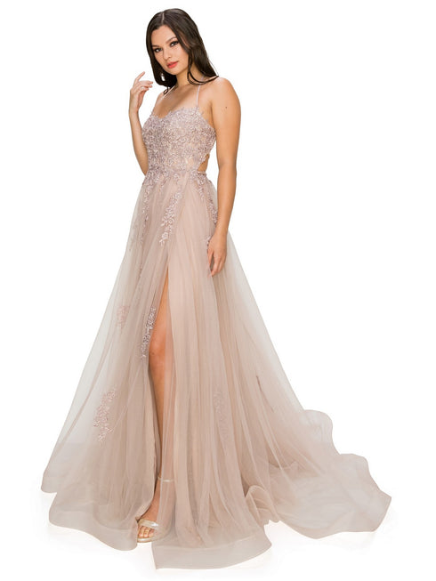 Bliss Lace Applique Open Back Spaghetti Tulle Dress for Women, Sizes XS-3XL - SophiasStyle.com