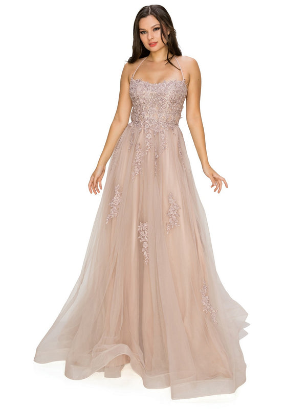 Bliss Lace Applique Open Back Spaghetti Tulle Dress for Women, Sizes XS-3XL - SophiasStyle.com