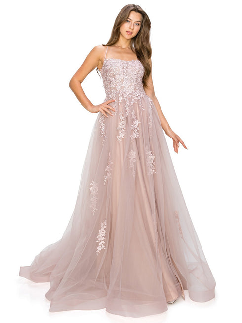 Bliss Lace Applique Open Back Spaghetti Tulle Dress for Women, Sizes XS-3XL - SophiasStyle.com