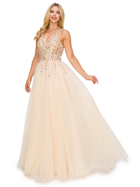 Bliss Sequin Lace Applique Sleeveless Tulle Long Dress for Women, Sizes XS-3XL - SophiasStyle.com