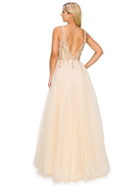 Bliss Sequin Lace Applique Sleeveless Tulle Long Dress for Women, Sizes XS-3XL - SophiasStyle.com