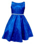 Little Girls Royal Blue Glitter Metallic Flower Girl Dress 2-6 - SophiasStyle.com