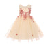 Little Girls Champagne Rose 3D Contrast Floral Applique Flower Girl Dress 2-6 - SophiasStyle.com