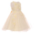 Big Girls Champagne 3D Floral Appliques Soft Tulle Flower Girl Dress 8-12 - SophiasStyle.com