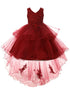 Girls Lace Applique Sequin Tulle Junior Bridesmaid Dress 2-12 - SophiasStyle.com