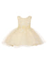Baby Girls Floral Applique Lace Tulle Flower Girl Dress, Sizes 3-24 Months - SophiasStyle.com