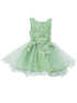 Baby Girls Floral Applique Lace Tulle Flower Girl Dress, Sizes 3-24 Months - SophiasStyle.com