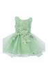 Baby Girls Floral Applique Lace Tulle Flower Girl Dress, Sizes 3-24 Months - SophiasStyle.com