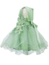 Baby Girls Floral Applique Lace Tulle Flower Girl Dress, Sizes 3-24 Months - SophiasStyle.com