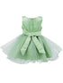 Baby Girls Floral Applique Lace Tulle Flower Girl Dress, Sizes 3-24 Months - SophiasStyle.com