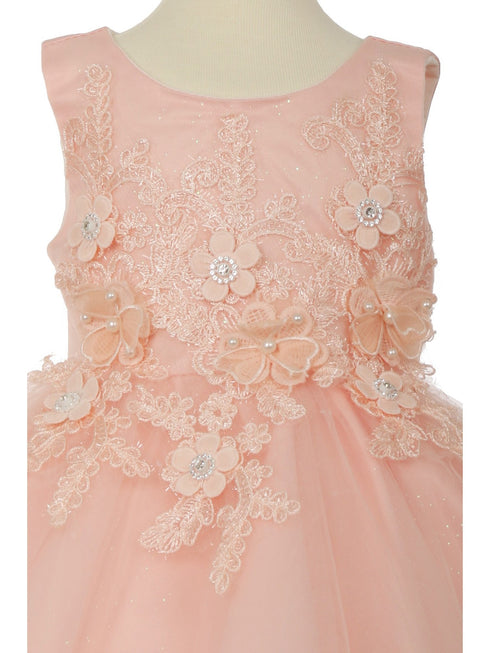 Baby Girls Floral Applique Lace Tulle Flower Girl Dress, Sizes 3-24 Months - SophiasStyle.com