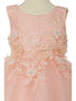 Baby Girls Floral Applique Lace Tulle Flower Girl Dress, Sizes 3-24 Months - SophiasStyle.com