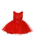 Baby Girls Floral Applique Lace Tulle Flower Girl Dress, Sizes 3-24 Months - SophiasStyle.com