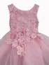 Cinderella Couture Baby Girls Pink 3D Floral Lace Flower Girl Dress 6-24M - SophiasStyle.com