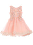 Cinderella Couture Baby Girls Blush 3D Floral Lace Hem Flower Girl Dress 6-24M - SophiasStyle.com
