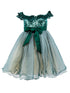 Lala and Erina by Cinderella Couture 3D Flower Lace Two-Tone Dress with Glitter Tulle Skirt, Sizes 2-12 - SophiasStyle.com