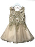 Petite Adele Girls Champagne Embroidered Chandra Junior Bridesmaid Dress 6-16 - SophiasStyle.com
