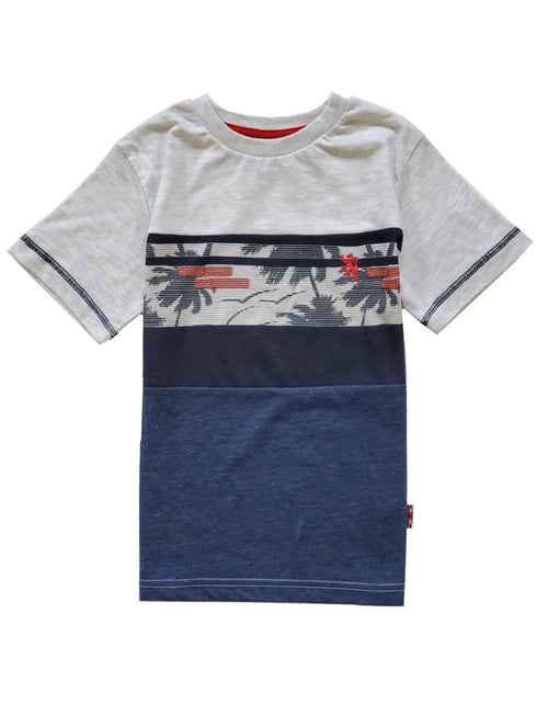 Little Boys Gray Short Sleeve Casual T-Shirt 4-7 - SophiasStyle.com