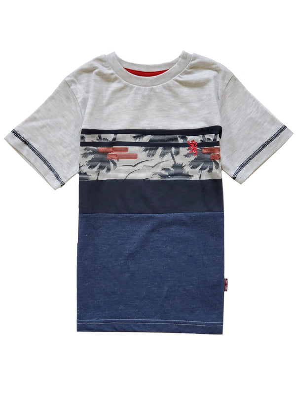 Little Boys Gray Short Sleeve Casual T-Shirt 4-7 - SophiasStyle.com