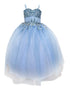 Little Girls Light Blue Embroidered Sweetheart Neckline Flower Girl Dress 2-6 - SophiasStyle.com