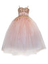 Little Girls Blush Embroidered Sweetheart Neckline Flower Girl Dress 2-6 - SophiasStyle.com
