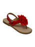 L`Amour Little Girls Red Organza Flower Back Strap Thong Sandals 5-10 Toddler - SophiasStyle.com