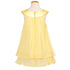 Kids Dream Little Girls Yellow Chiffon A Line Flower Girl Dress 2-14 - SophiasStyle.com