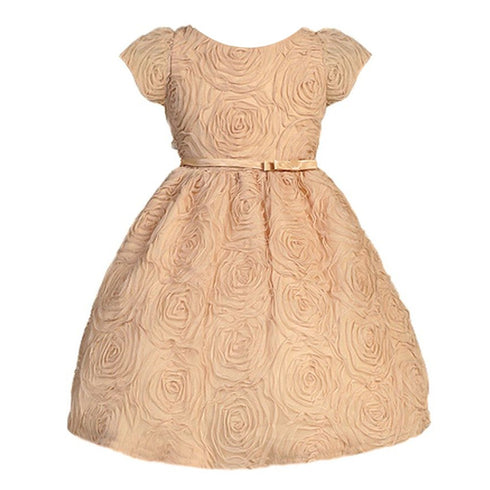 Sweet Kids Baby Girls Champagne Rosette Textured Flower Girl Dress 6-24M - SophiasStyle.com