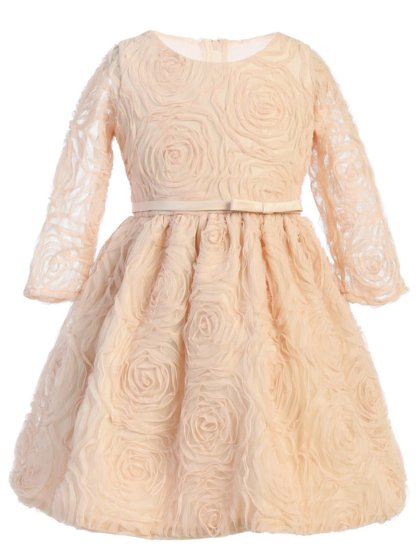 Sweet Kids Little Girls Champagne Rosette Mesh Flower Girl Dress 2-6 - SophiasStyle.com