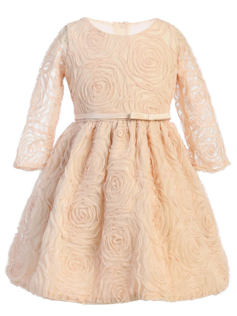 Sweet Kids Little Girls Champagne Rosette Mesh Flower Girl Dress 2-6 - SophiasStyle.com