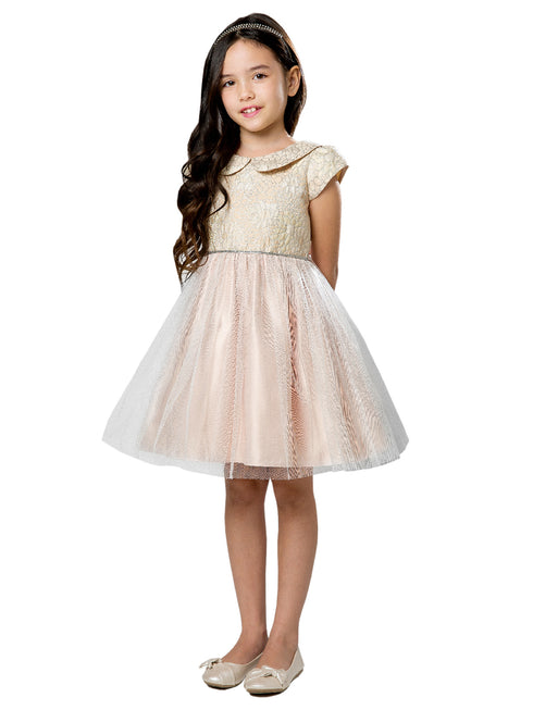 Little Girls Blush Daisy Jacquard Collar Tulle Flower Girl Dress 2-6 - SophiasStyle.com