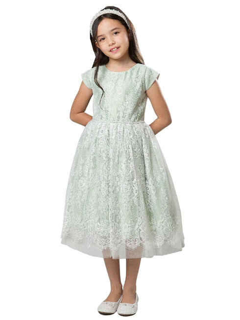 Little Girls Sage French Lace Peek A Boo Tulle Flower Girl Dress 2-6 - SophiasStyle.com