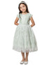 Little Girls Sage French Lace Peek A Boo Tulle Flower Girl Dress 2-6 - SophiasStyle.com