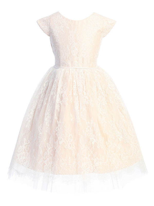 Little Girls Blush French Lace Peek A Boo Tulle Flower Girl Dress 2-6 - SophiasStyle.com