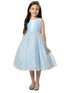 Little Girls Light Blue Satin Diamond Sequin Crystal Tulle Flower Girl Dress 2-6 - SophiasStyle.com